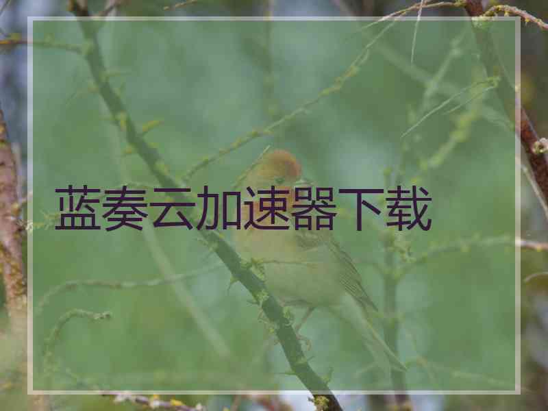 蓝奏云加速器下载