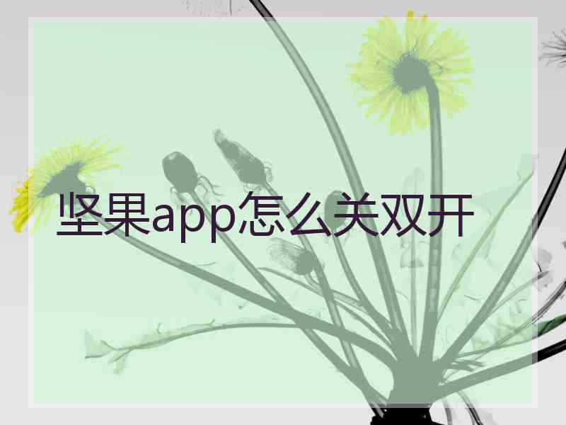 坚果app怎么关双开