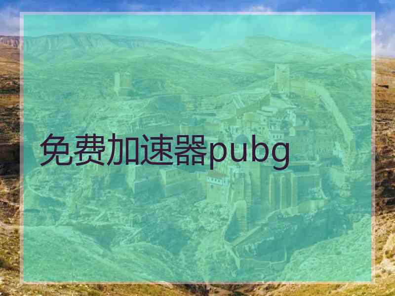 免费加速器pubg