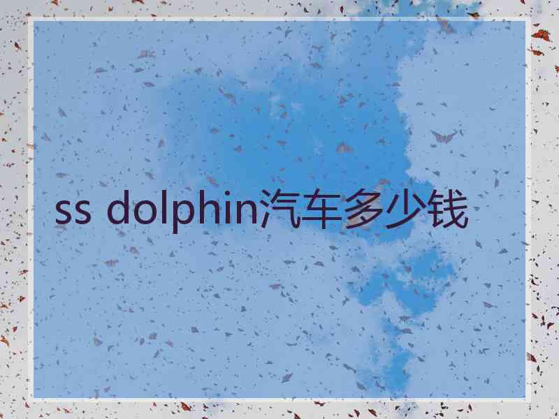 ss dolphin汽车多少钱