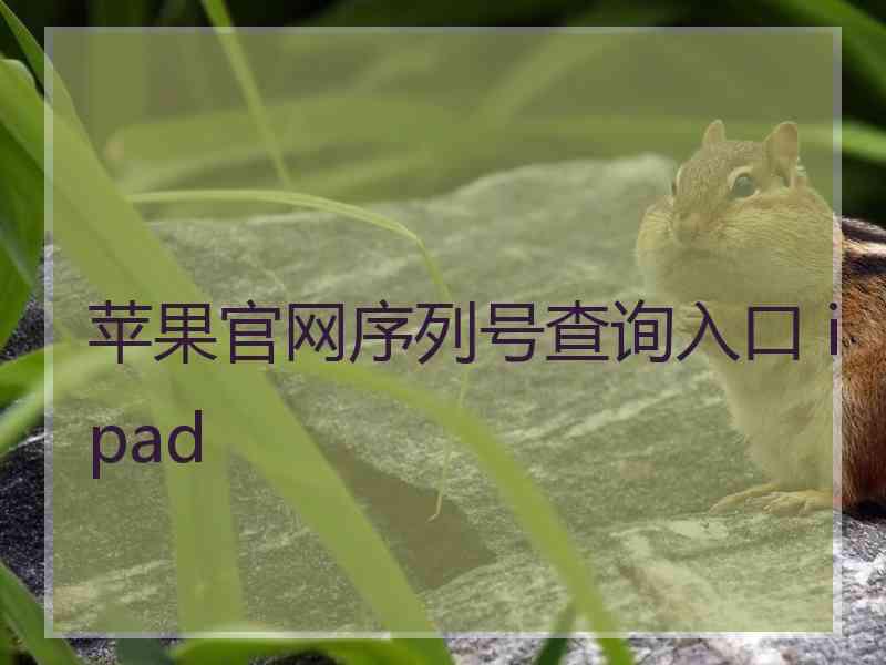 苹果官网序列号查询入口 ipad