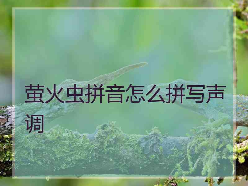 萤火虫拼音怎么拼写声调