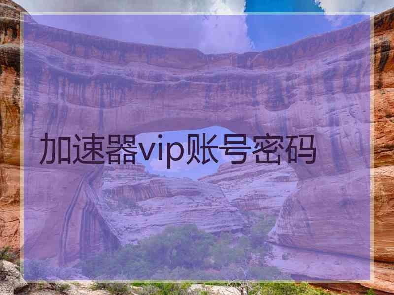 加速器vip账号密码