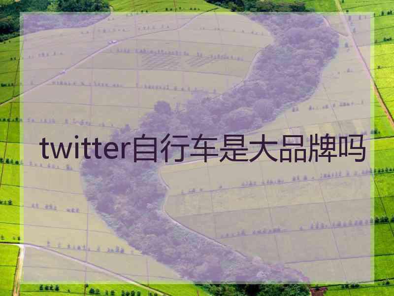 twitter自行车是大品牌吗