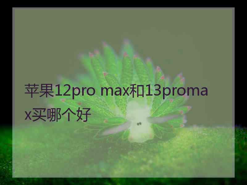 苹果12pro max和13promax买哪个好