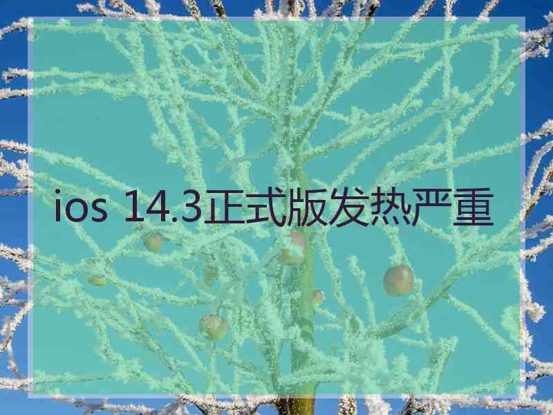 ios 14.3正式版发热严重