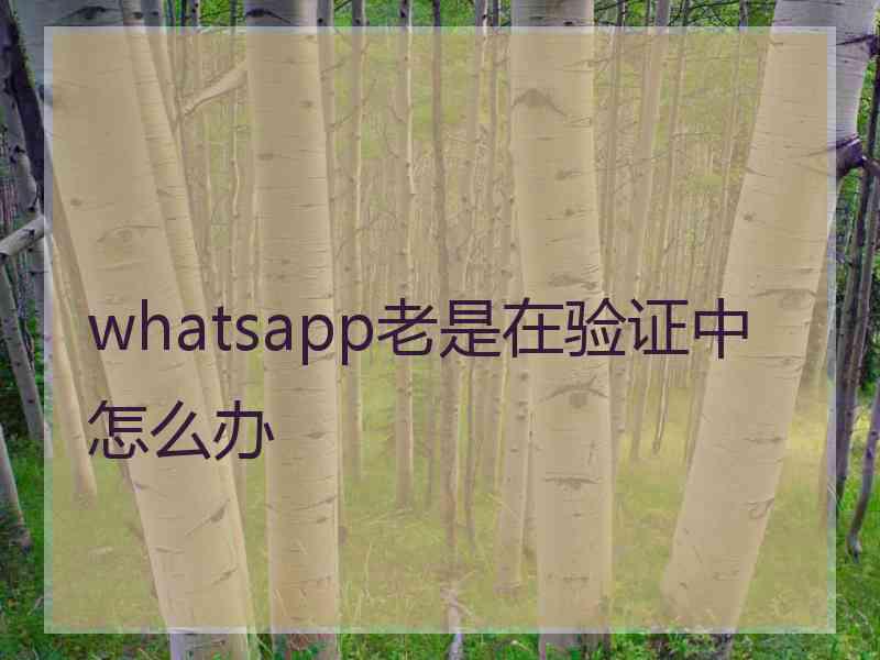 whatsapp老是在验证中怎么办