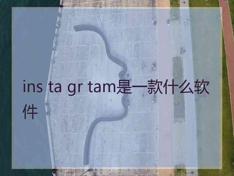 ins ta gr tam是一款什么软件