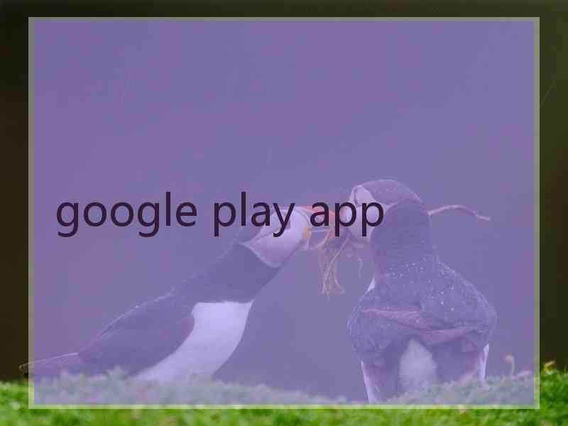 google play app