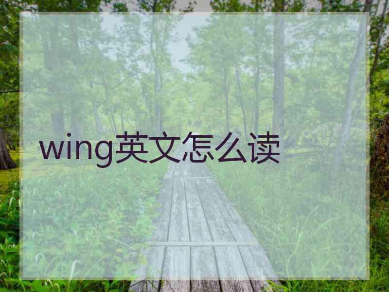 wing英文怎么读