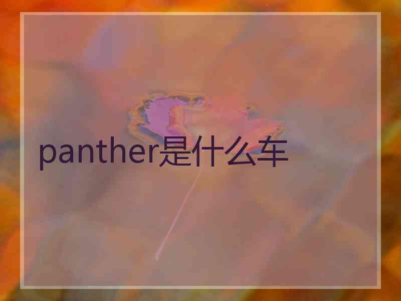 panther是什么车