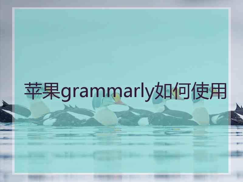 苹果grammarly如何使用