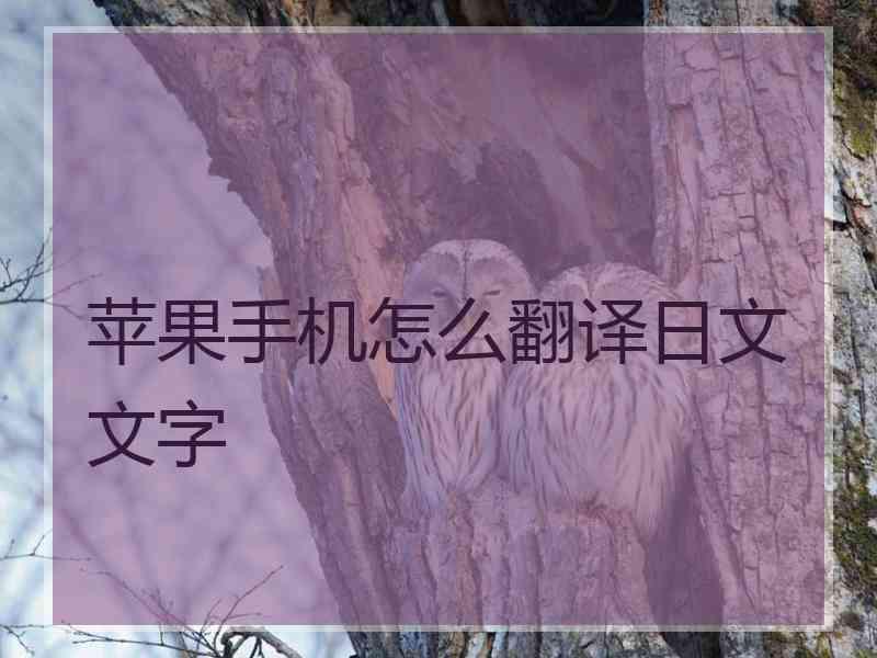 苹果手机怎么翻译日文文字