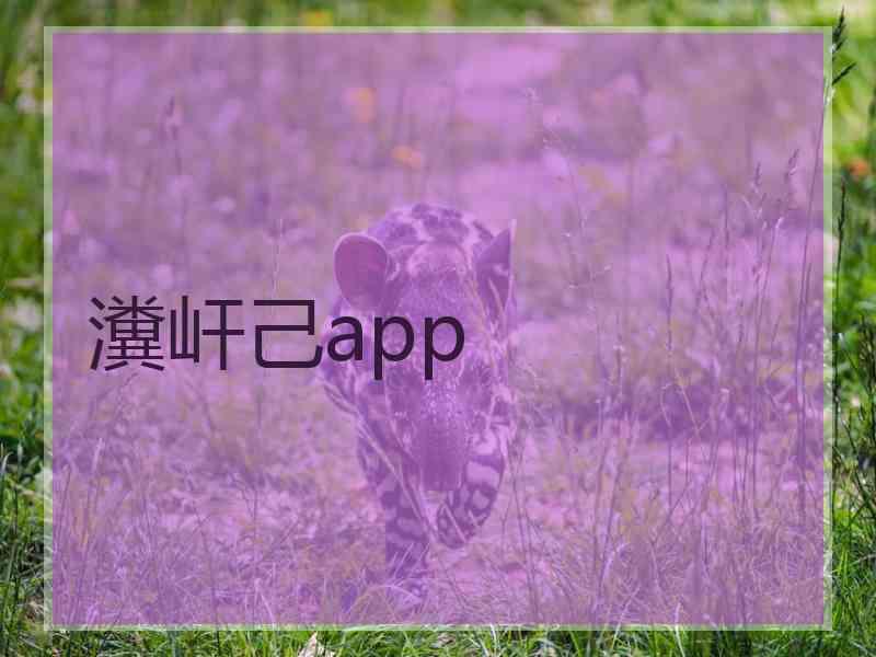 瀵屽己app