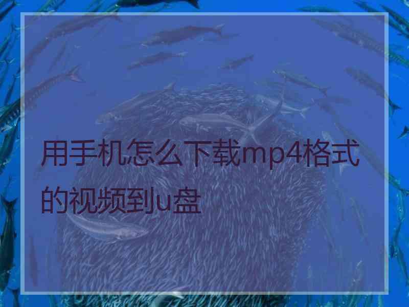 用手机怎么下载mp4格式的视频到u盘