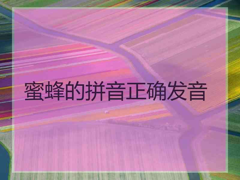 蜜蜂的拼音正确发音