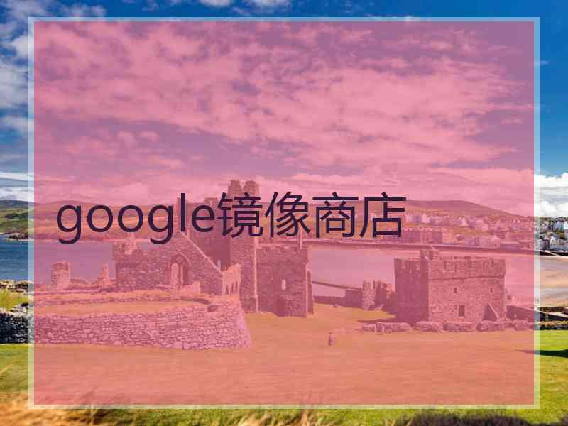 google镜像商店