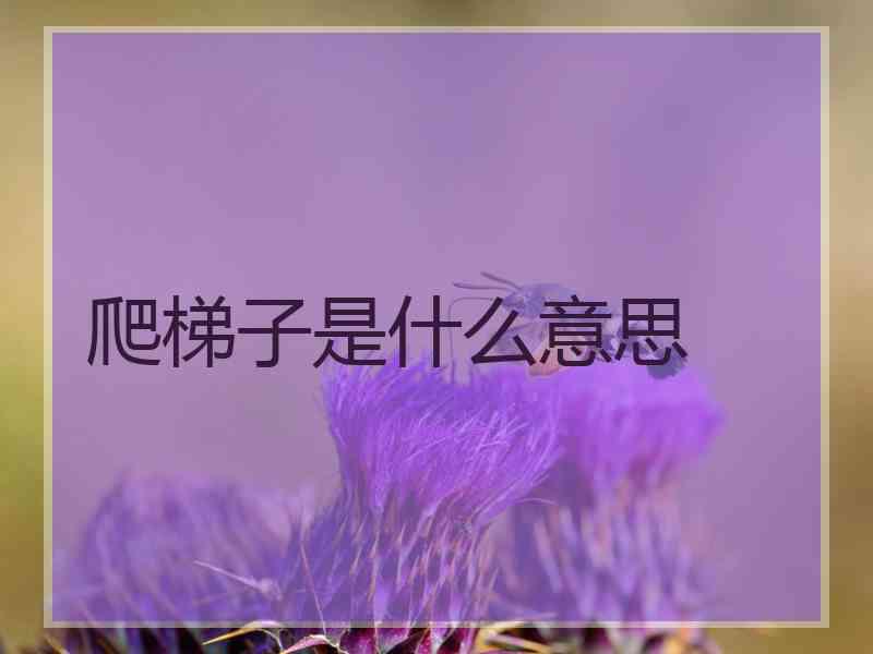 爬梯子是什么意思