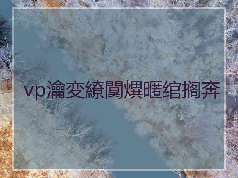 vp瀹変繚闃熼暱绾搁奔