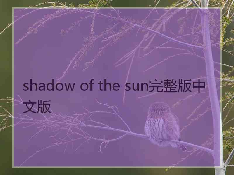 shadow of the sun完整版中文版