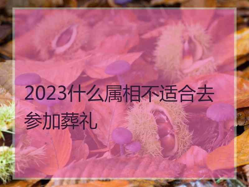 2023什么属相不适合去参加葬礼