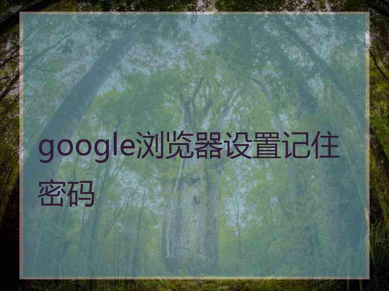 google浏览器设置记住密码