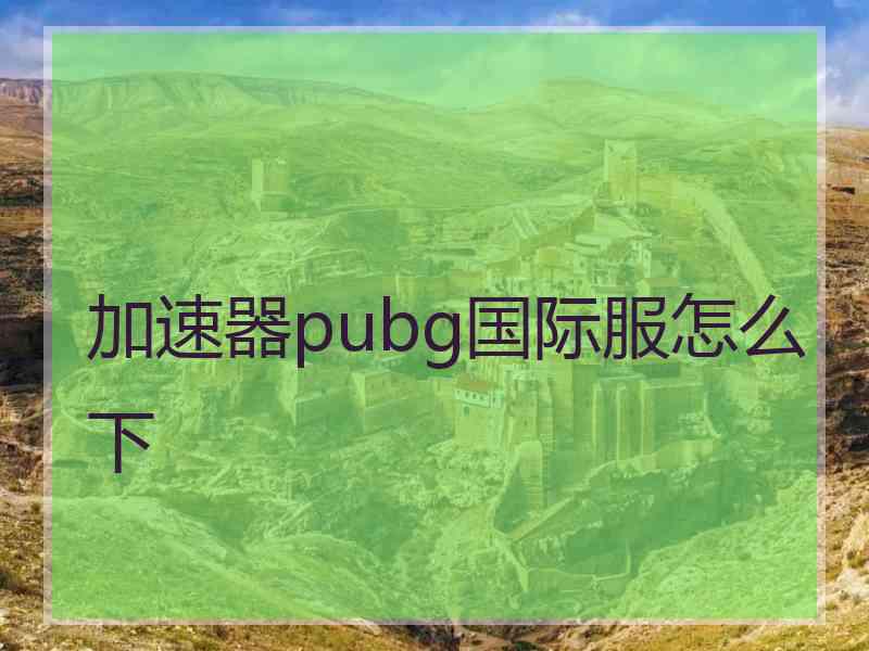 加速器pubg国际服怎么下