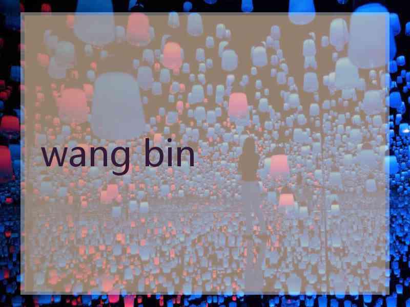 wang bin