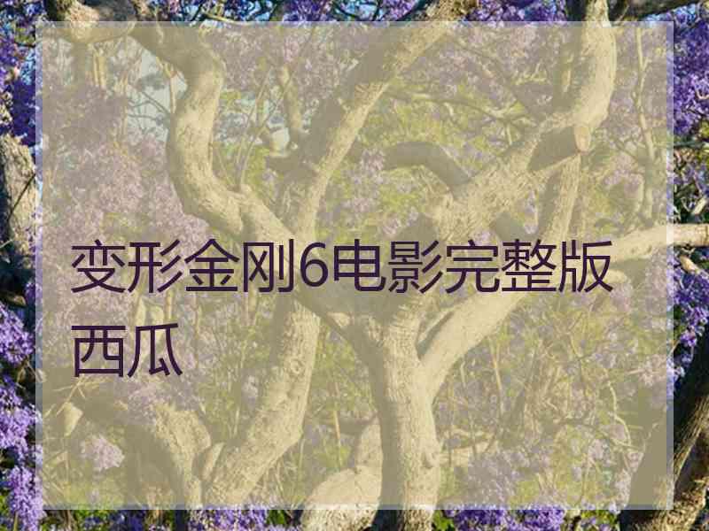 变形金刚6电影完整版西瓜