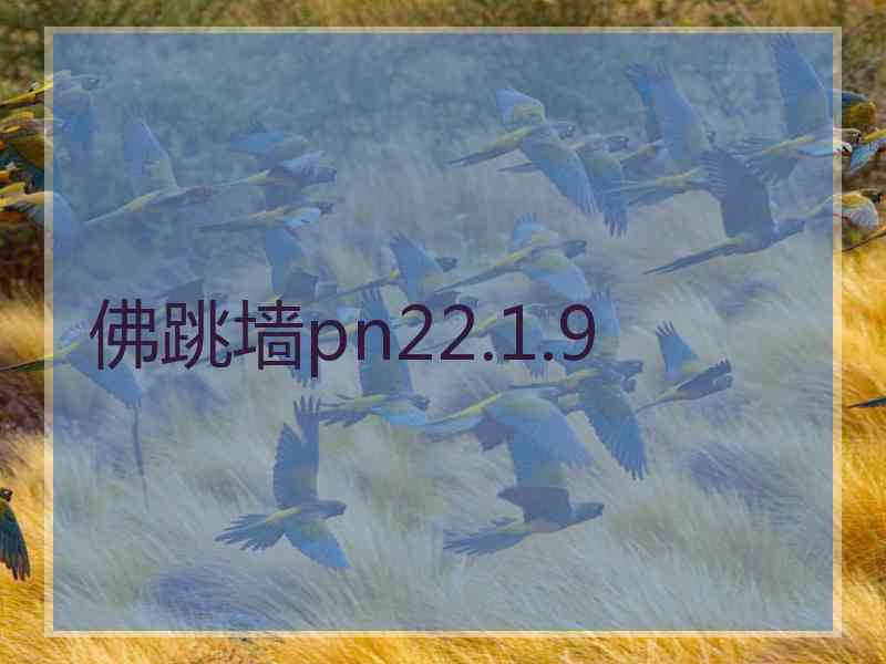 佛跳墙pn22.1.9