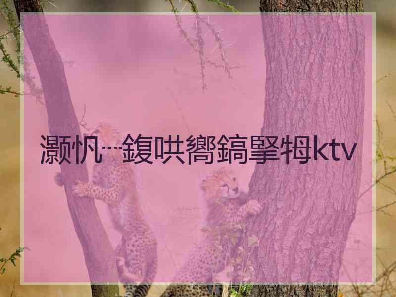 灏忛┈鍑哄嚮鎬掔牳ktv