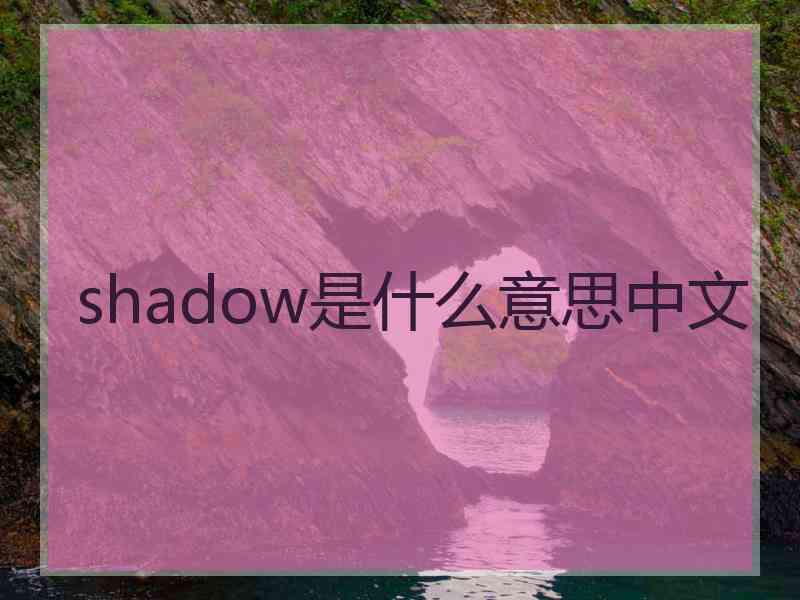 shadow是什么意思中文