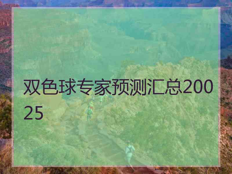 双色球专家预测汇总20025