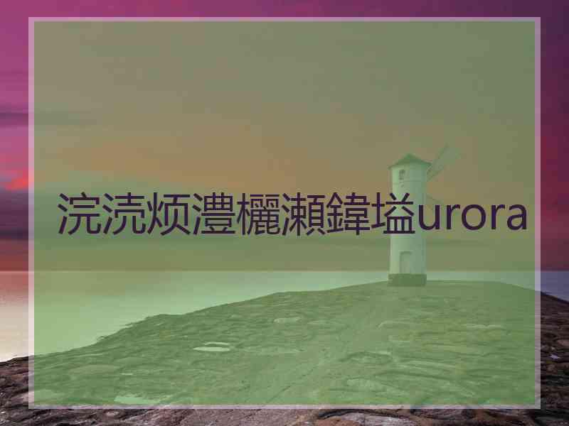 浣涜烦澧欐瀬鍏塧urora