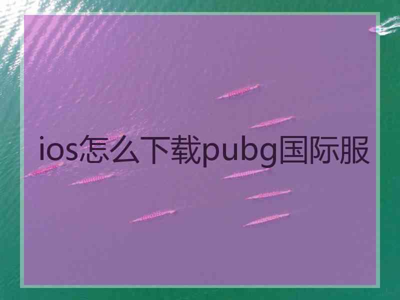 ios怎么下载pubg国际服