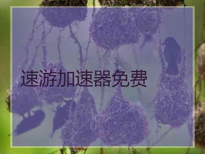 速游加速器免费