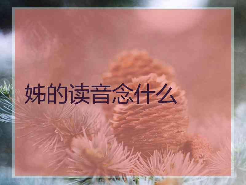 姊的读音念什么