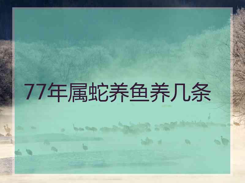 77年属蛇养鱼养几条