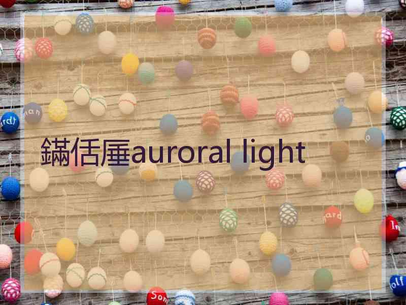 鏋佸厜auroral light