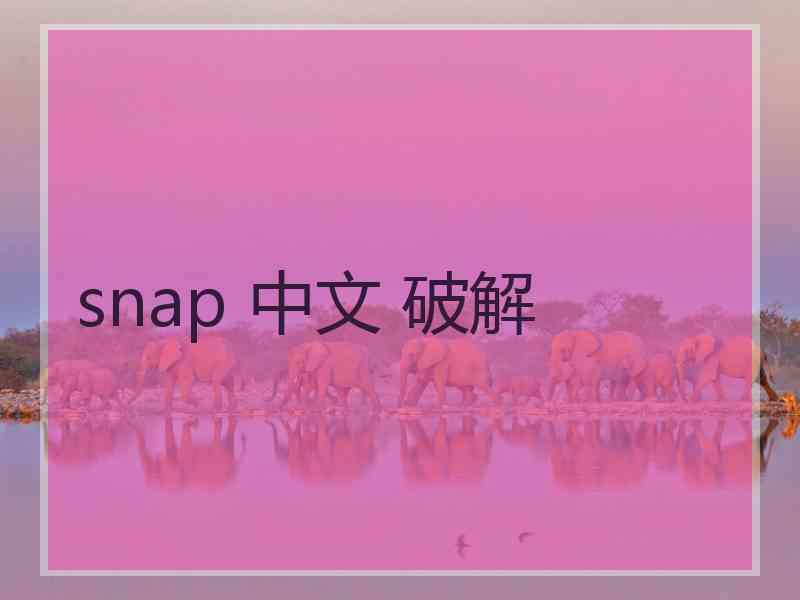 snap 中文 破解