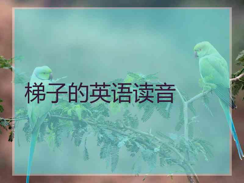 梯子的英语读音