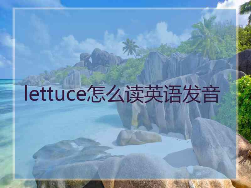 lettuce怎么读英语发音