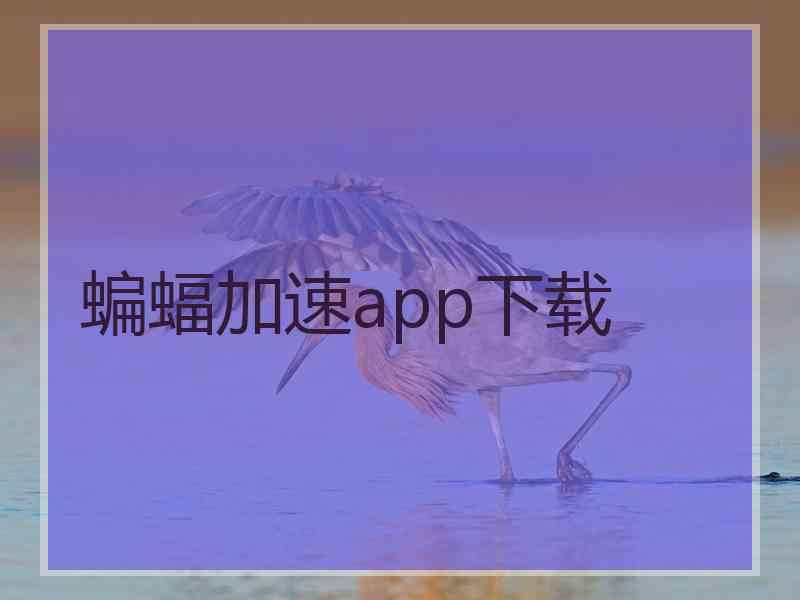 蝙蝠加速app下载