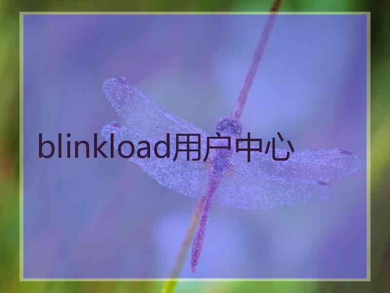 blinkload用户中心