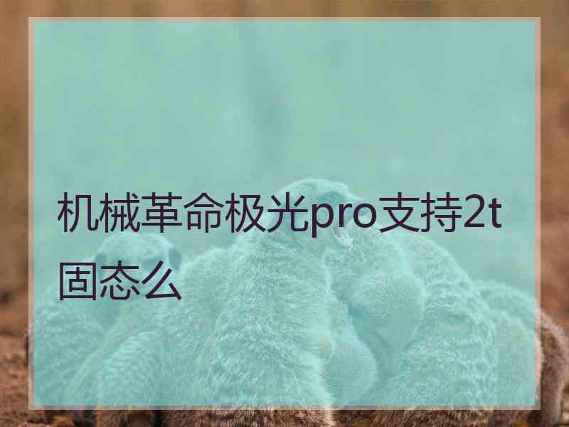 机械革命极光pro支持2t固态么