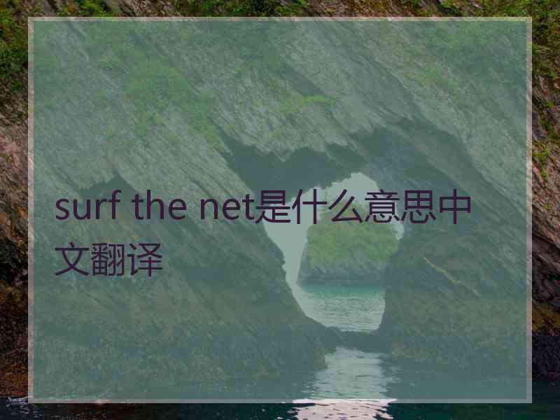 surf the net是什么意思中文翻译