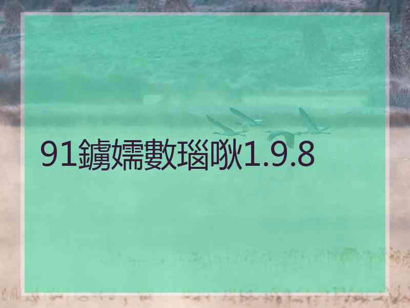 91鐪嬬數瑙唙1.9.8