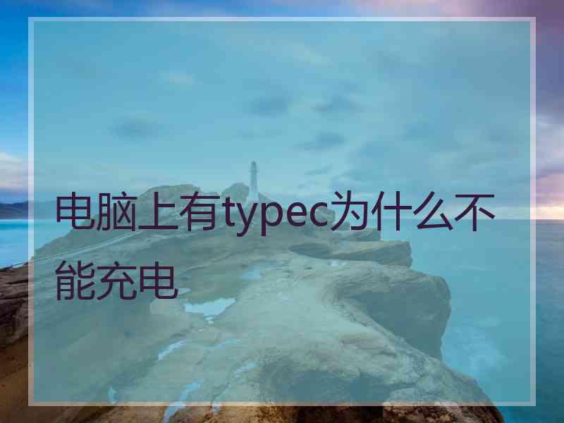 电脑上有typec为什么不能充电