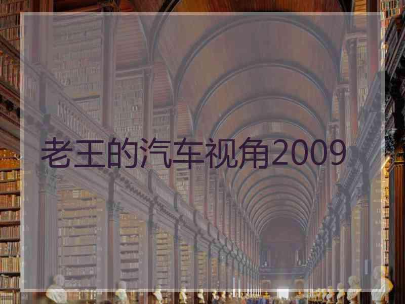 老王的汽车视角2009