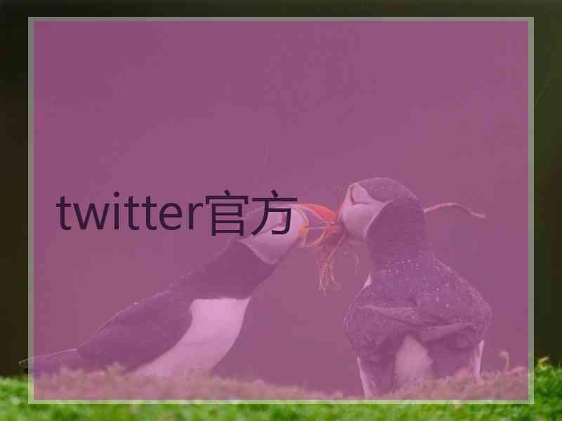 twitter官方